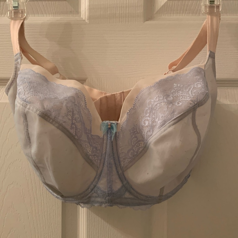 Panache Lace Bra in Light Blue and Cream